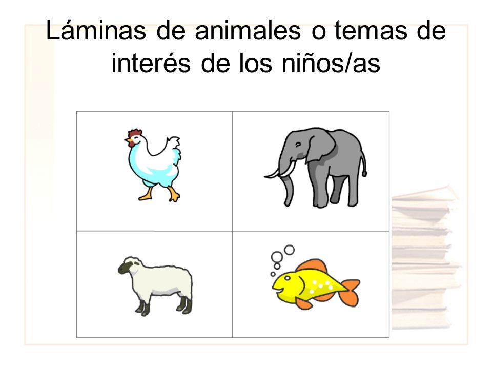 Láminas de animales o temas de interés de los niños/as