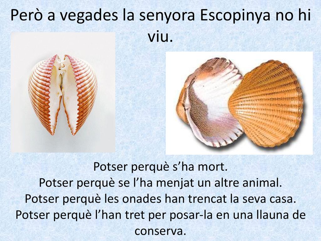 Però a vegades la senyora Escopinya no hi viu.