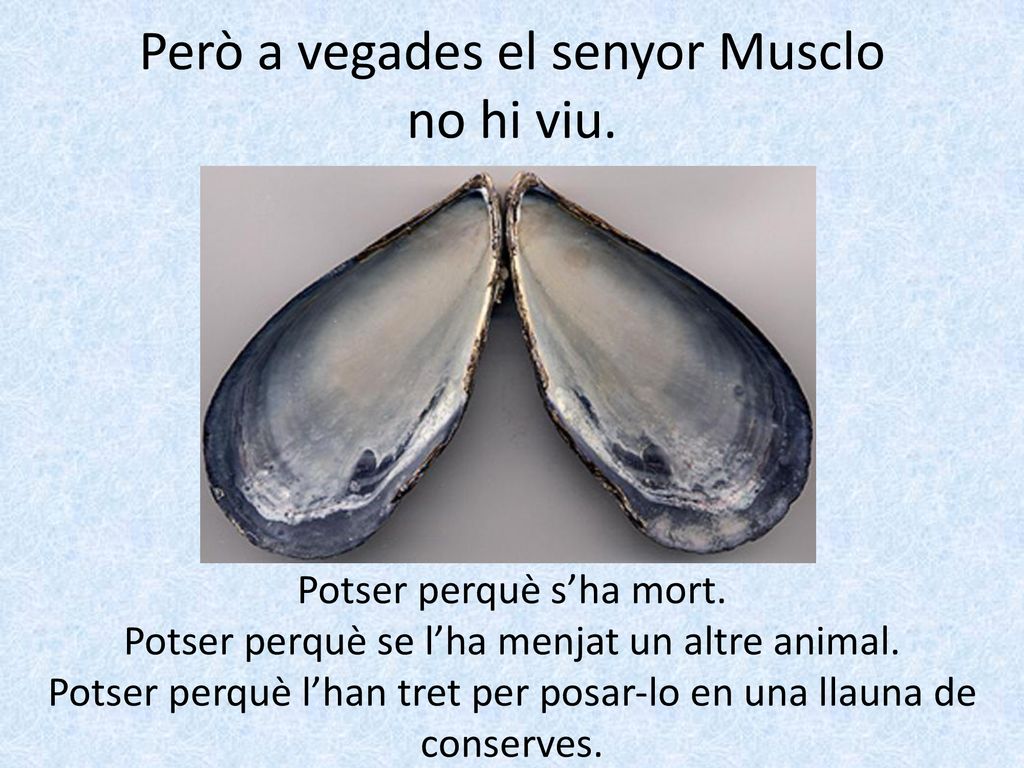 Però a vegades el senyor Musclo no hi viu.