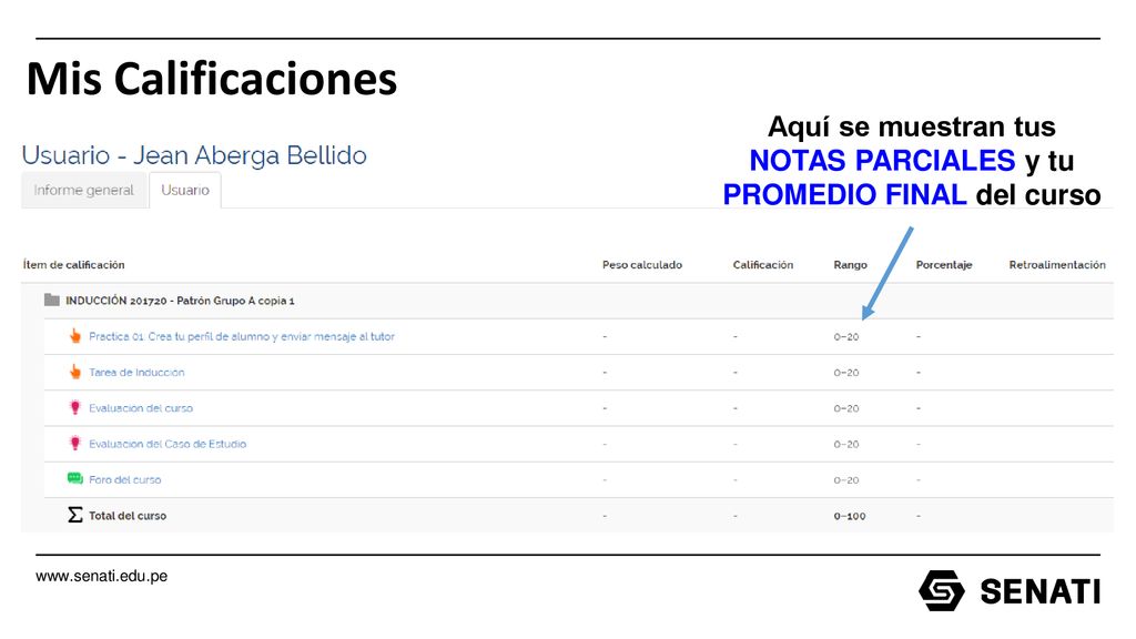 Aquí se muestran tus NOTAS PARCIALES y tu PROMEDIO FINAL del curso