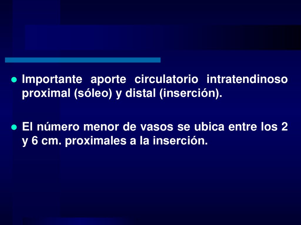 Importante aporte circulatorio intratendinoso proximal (sóleo) y distal (inserción).