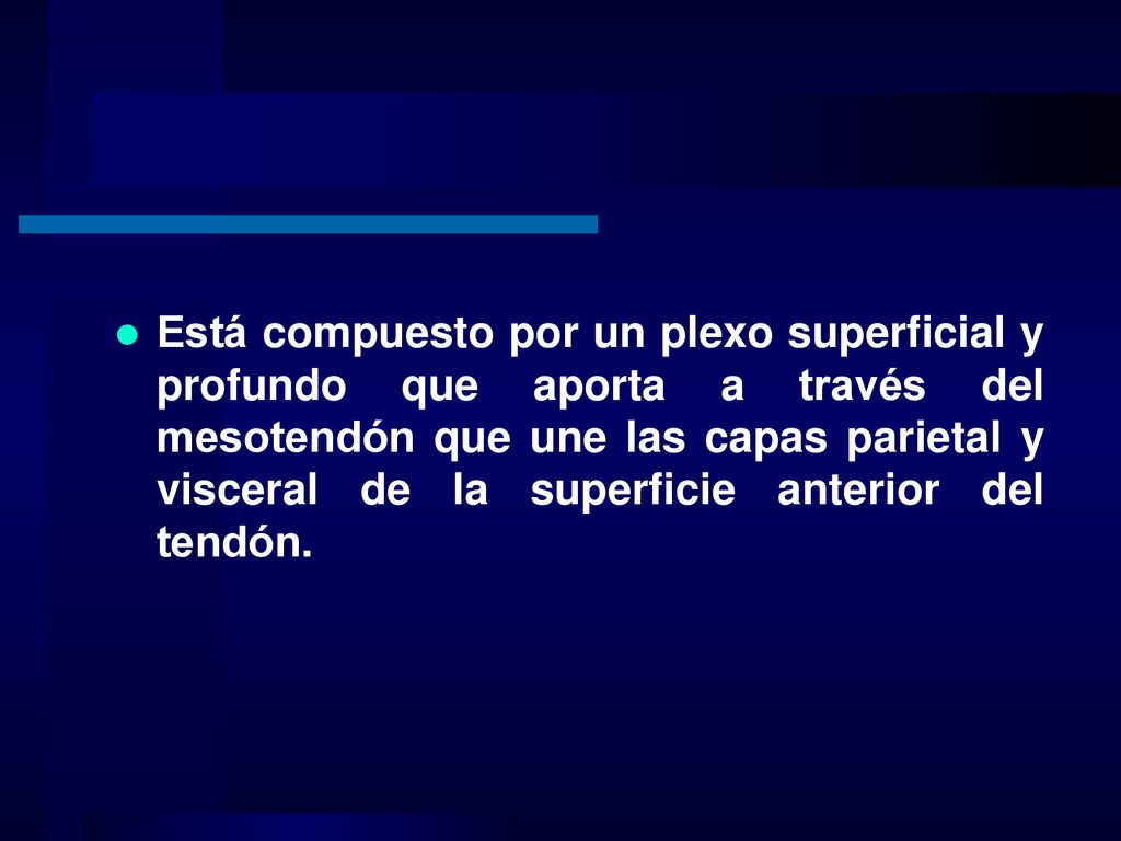 Está compuesto por un plexo superficial y profundo que aporta a través del mesotendón que une las capas parietal y visceral de la superficie anterior del tendón.