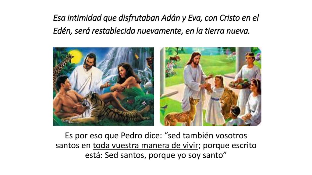 Esa intimidad que disfrutaban Adán y Eva, con Cristo en el Edén, será restablecida nuevamente, en la tierra nueva.