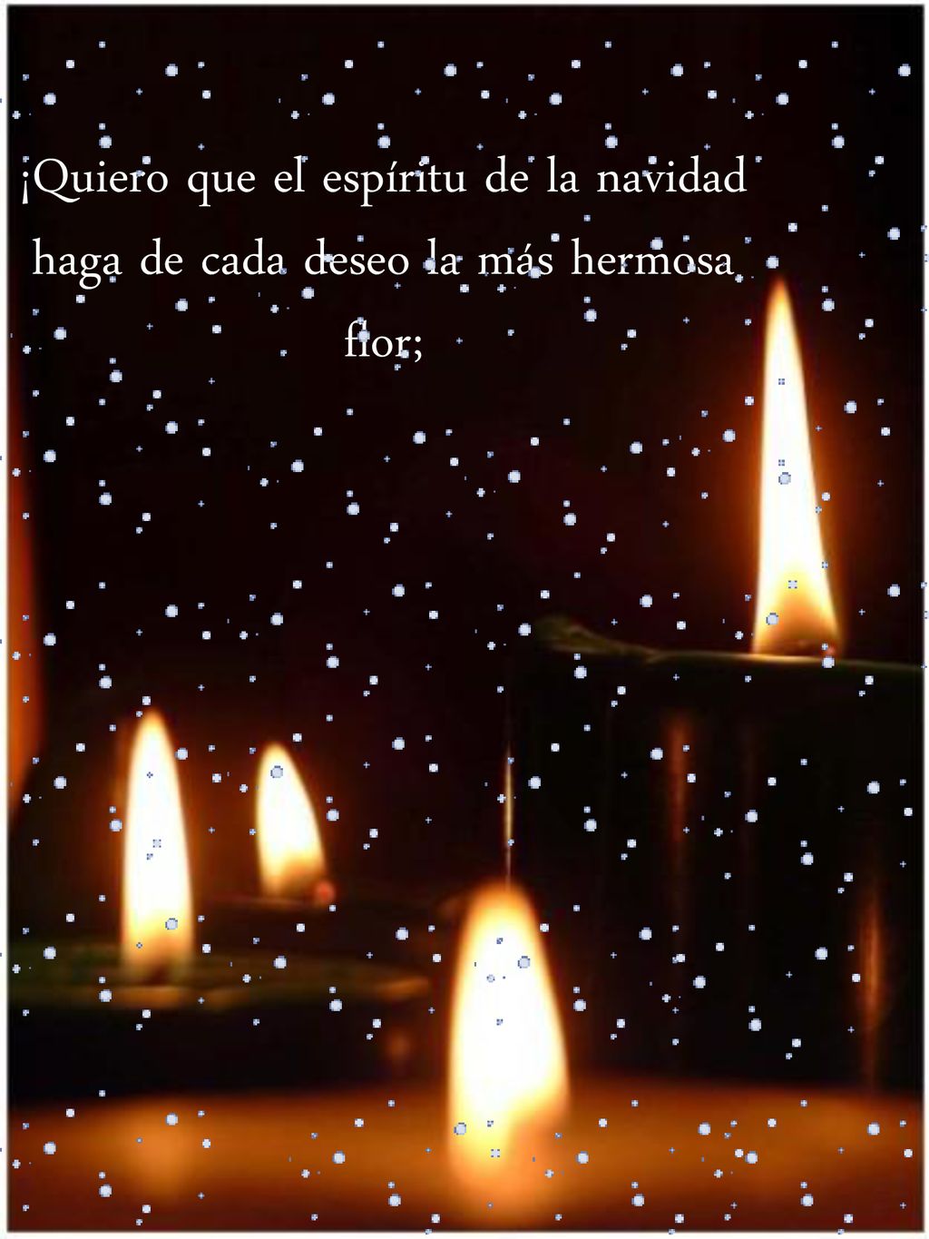 ¡Quiero que el espíritu de la navidad haga de cada deseo la más hermosa flor;