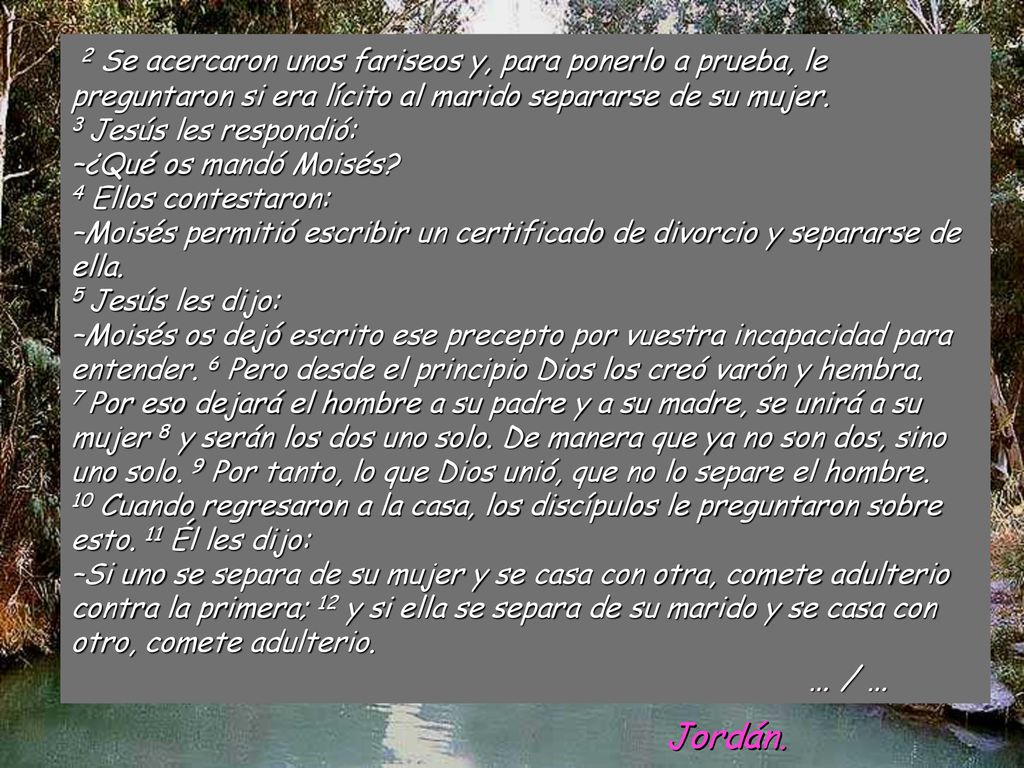 2 Se acercaron unos fariseos y, para ponerlo a prueba, le preguntaron si era lícito al marido separarse de su mujer. 3 Jesús les respondió: –¿Qué os mandó Moisés 4 Ellos contestaron: –Moisés permitió escribir un certificado de divorcio y separarse de ella. 5 Jesús les dijo: –Moisés os dejó escrito ese precepto por vuestra incapacidad para entender. 6 Pero desde el principio Dios los creó varón y hembra.