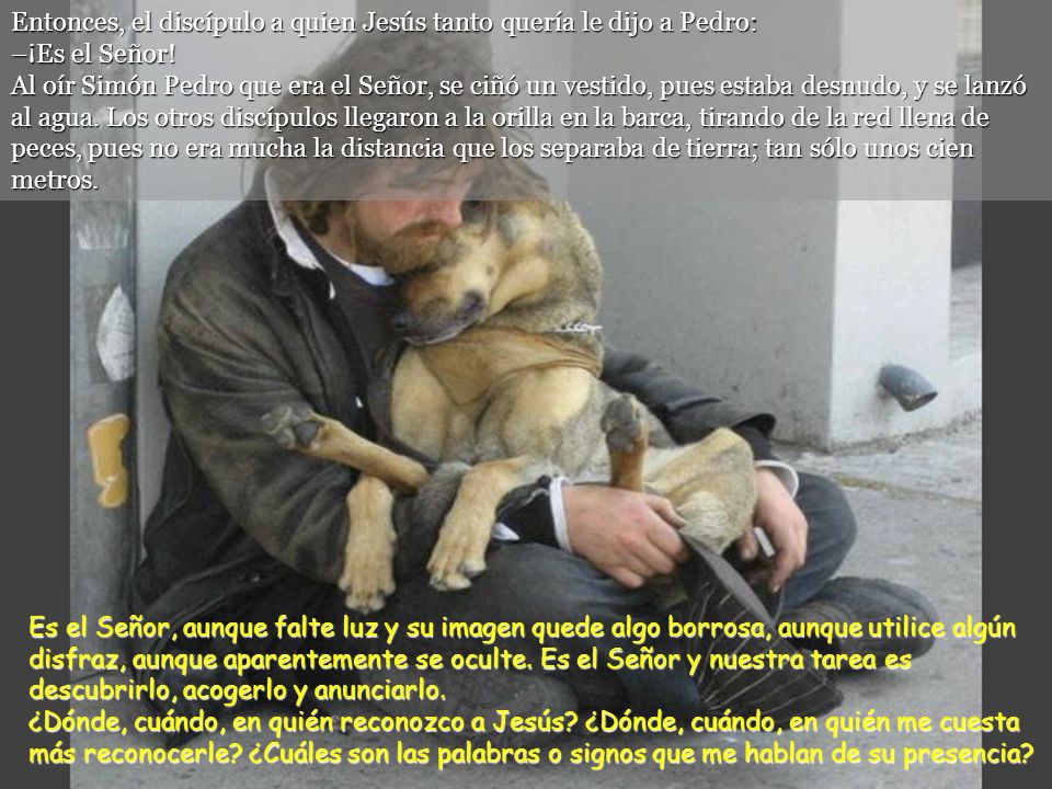 Entonces, el discípulo a quien Jesús tanto quería le dijo a Pedro: –¡Es el Señor! Al oír Simón Pedro que era el Señor, se ciñó un vestido, pues estaba desnudo, y se lanzó al agua. Los otros discípulos llegaron a la orilla en la barca, tirando de la red llena de peces, pues no era mucha la distancia que los separaba de tierra; tan sólo unos cien metros.