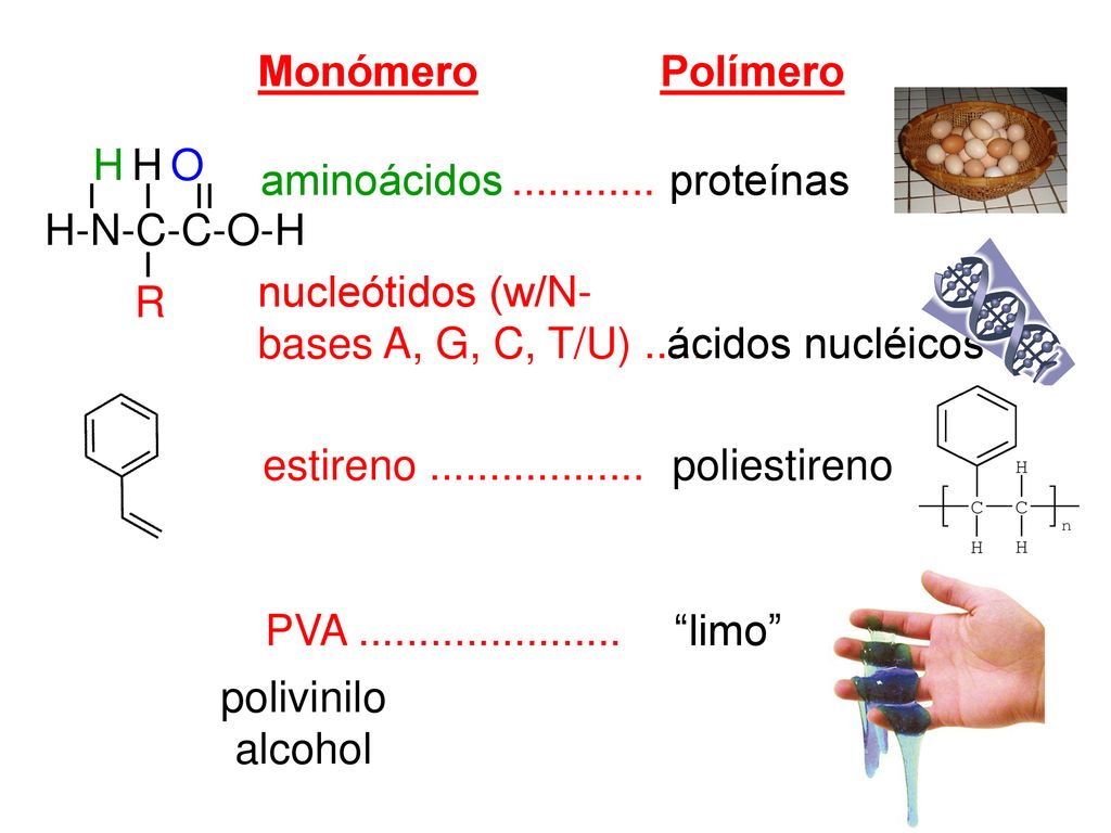 Monómero Polímero. H-N-C-C-O-H. H H O. R. aminoácidos proteínas. nucleótidos (w/N-