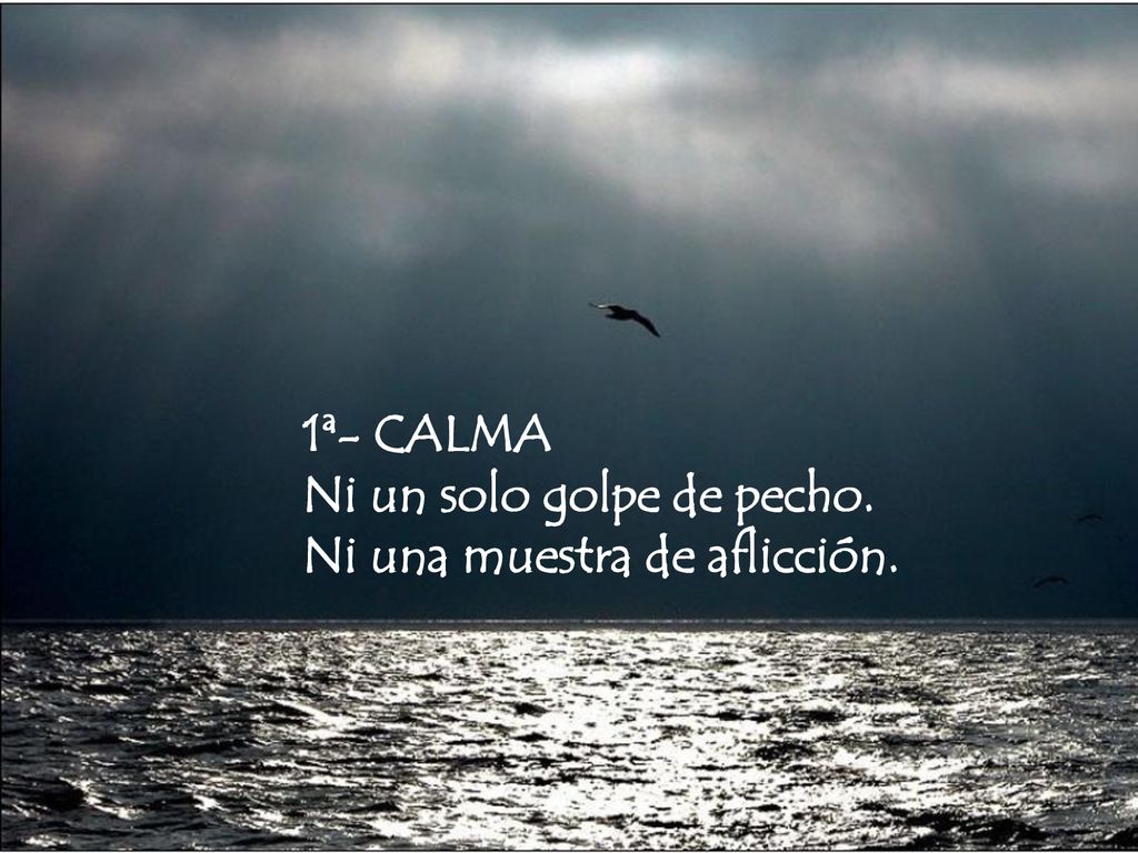 1ª- CALMA Ni un solo golpe de pecho. Ni una muestra de aflicción.