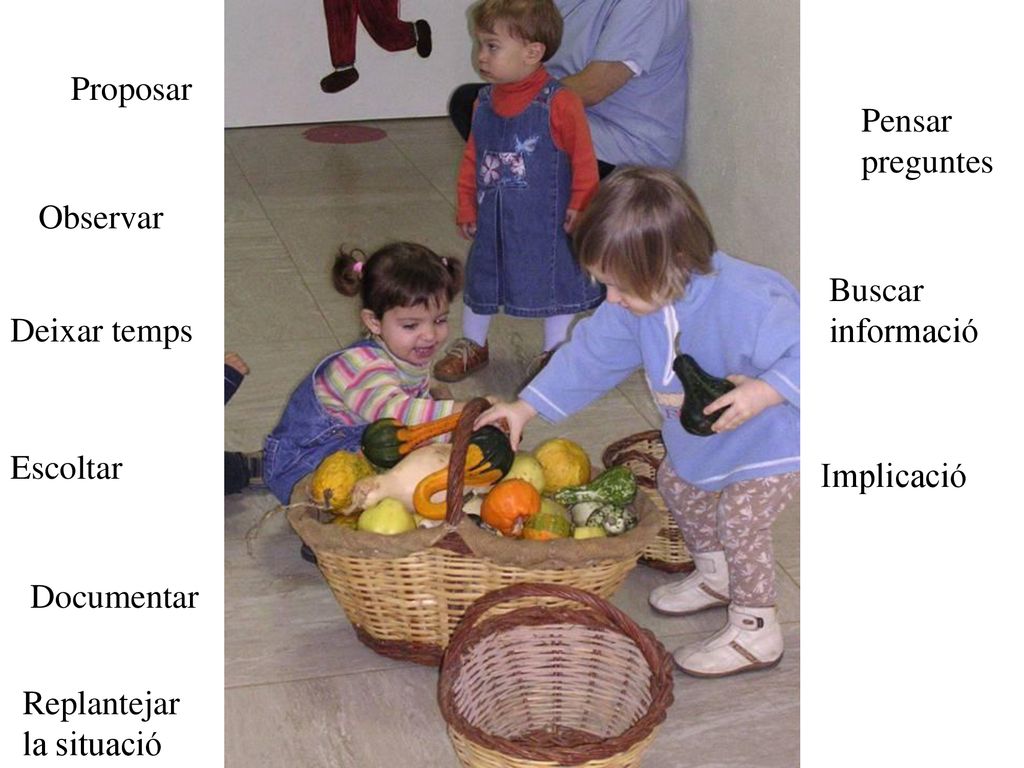 Proposar Pensar preguntes. Observar. Buscar informació. Deixar temps. Escoltar. Implicació. Documentar.