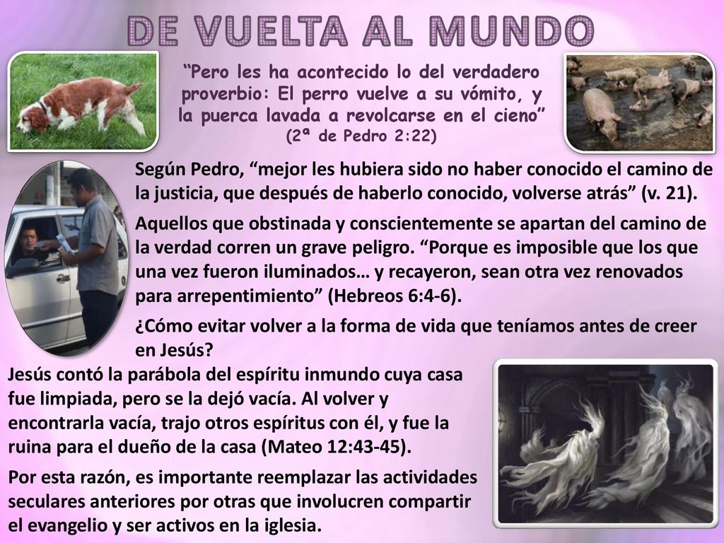 DE VUELTA AL MUNDO Pero les ha acontecido lo del verdadero proverbio: El perro vuelve a su vómito, y la puerca lavada a revolcarse en el cieno