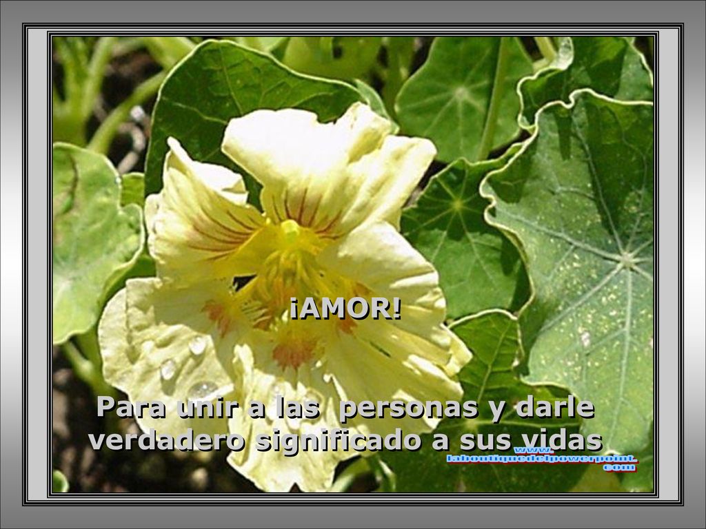 Para unir a las personas y darle verdadero significado a sus vidas
