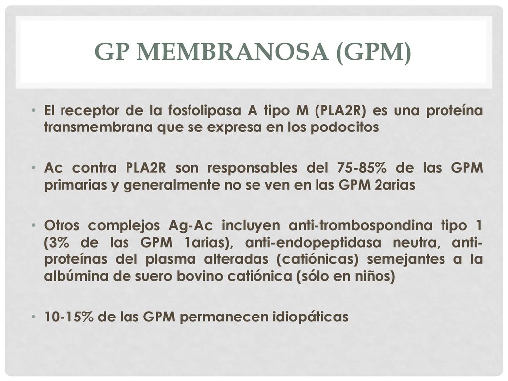 GP Membranosa (GPM) El receptor de la fosfolipasa A tipo M (PLA2R) es una proteína transmembrana que se expresa en los podocitos.
