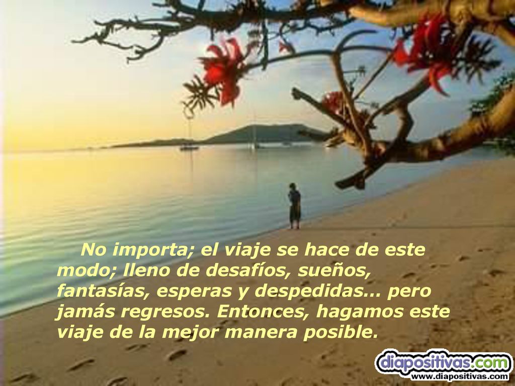No importa; el viaje se hace de este modo; lleno de desafíos, sueños, fantasías, esperas y despedidas...