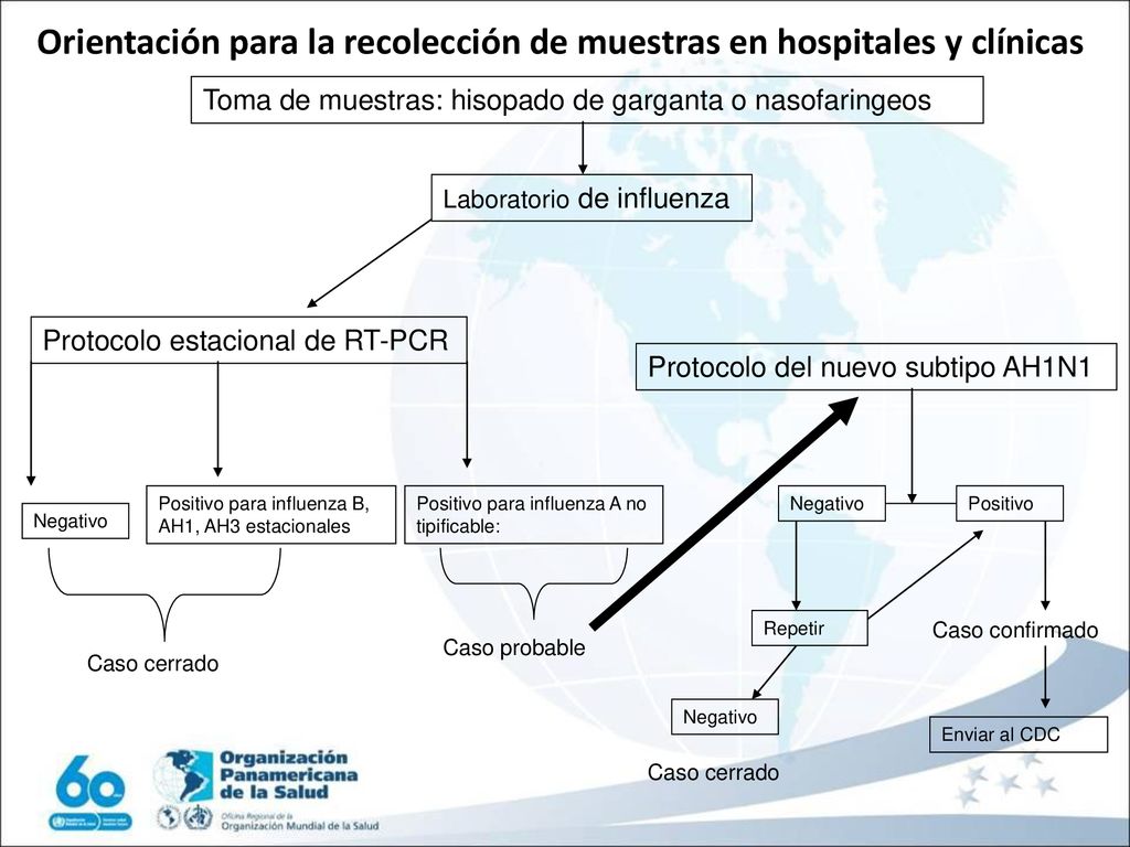 Orientación para la recolección de muestras en hospitales y clínicas