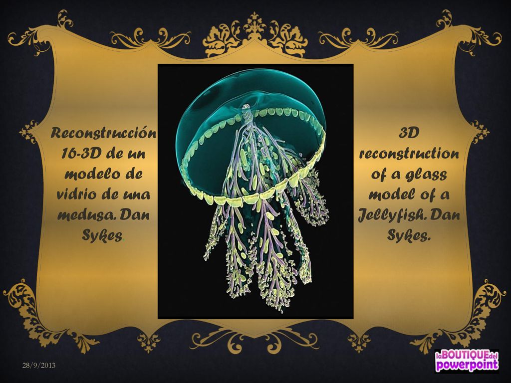 Reconstrucción 16-3D de un modelo de vidrio de una medusa. Dan Sykes.