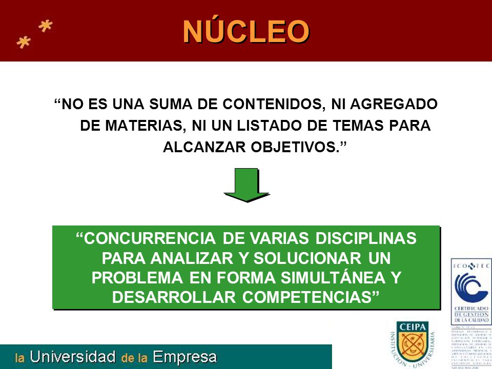 NÚCLEO NO ES UNA SUMA DE CONTENIDOS, NI AGREGADO DE MATERIAS, NI UN LISTADO DE TEMAS PARA ALCANZAR OBJETIVOS.