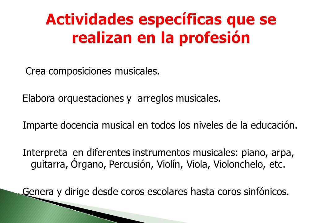 Actividades específicas que se realizan en la profesión