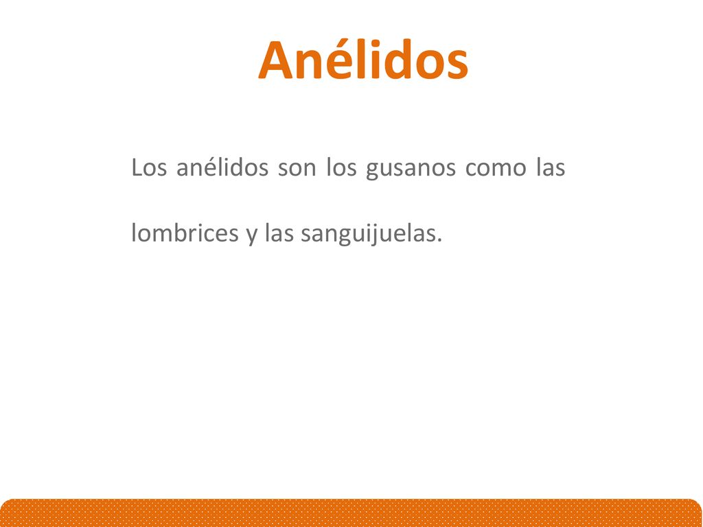 Anélidos Los anélidos son los gusanos como las lombrices y las sanguijuelas.