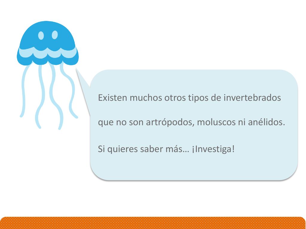 Existen muchos otros tipos de invertebrados que no son artrópodos, moluscos ni anélidos.
