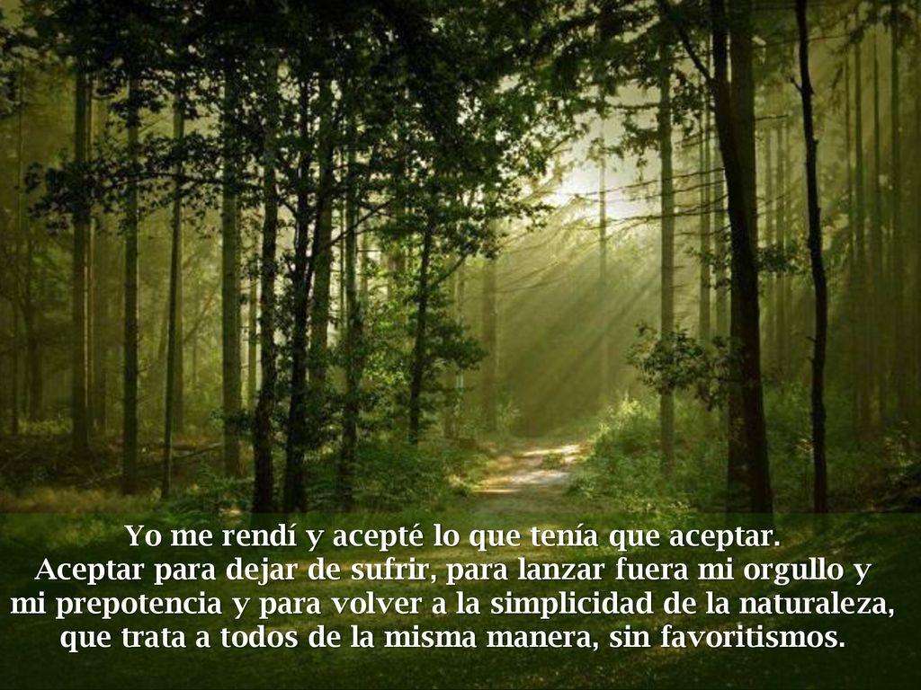 Yo me rendí y acepté lo que tenía que aceptar.