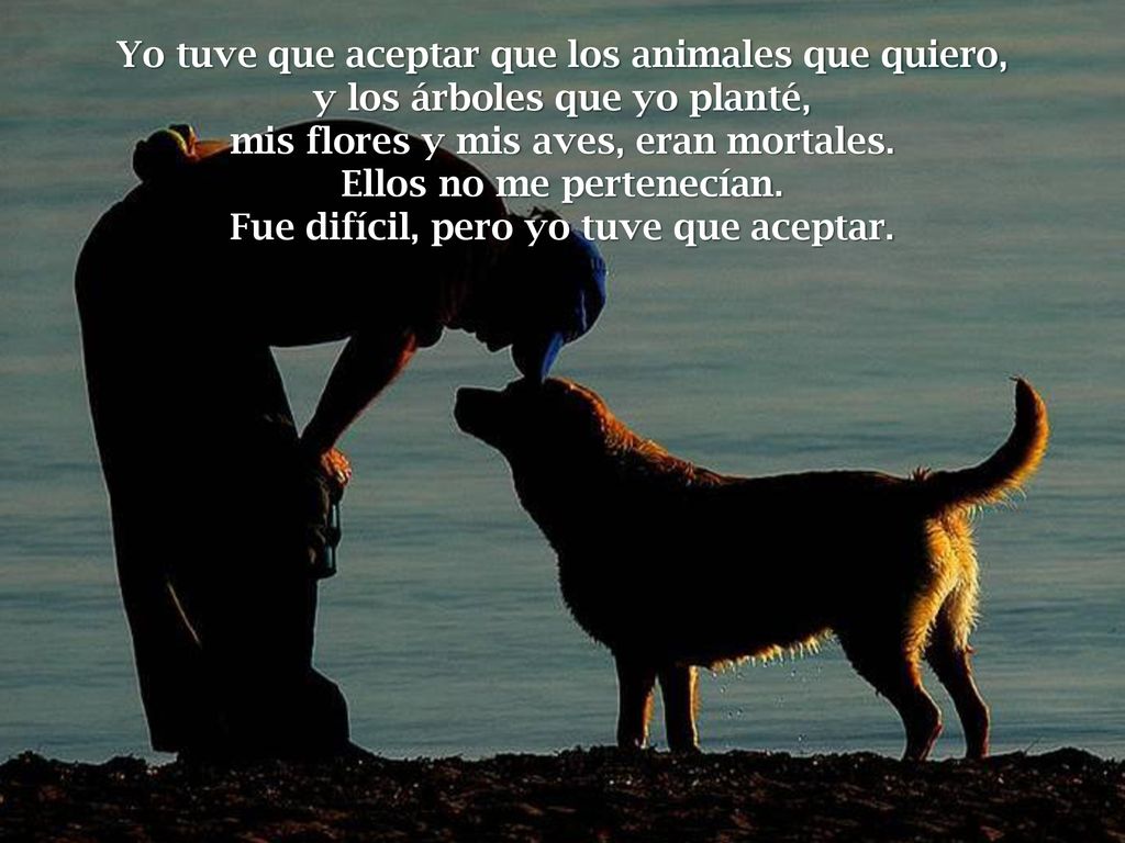 Ellos no me pertenecían. Fue difícil, pero yo tuve que aceptar.
