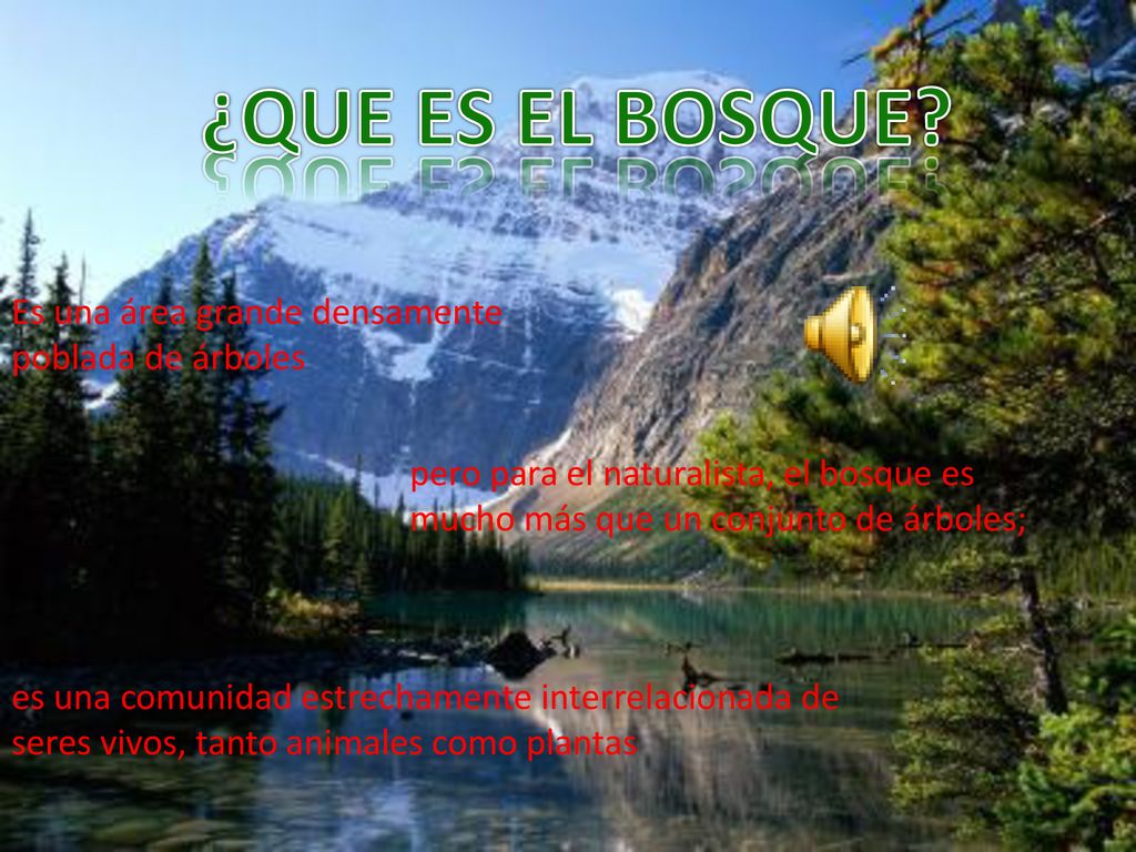 ¿QUE ES EL BOSQUE Es una área grande densamente poblada de árboles