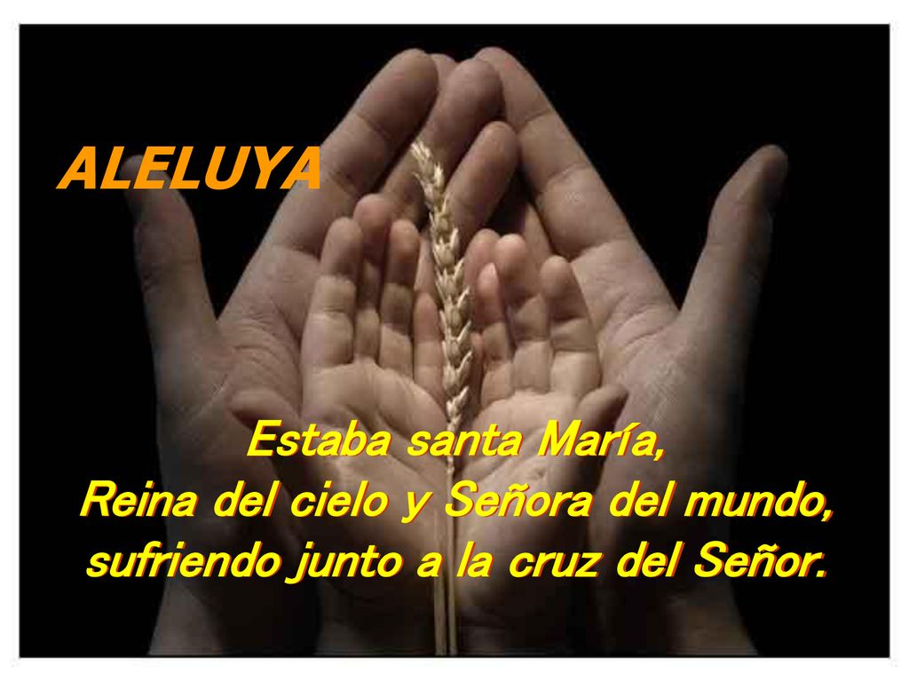 ALELUYA Estaba santa María, Reina del cielo y Señora del mundo,