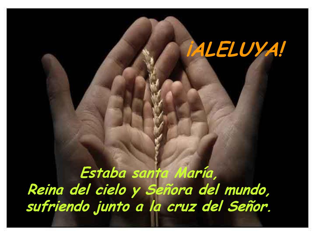 ¡ALELUYA! Estaba santa María, Reina del cielo y Señora del mundo,