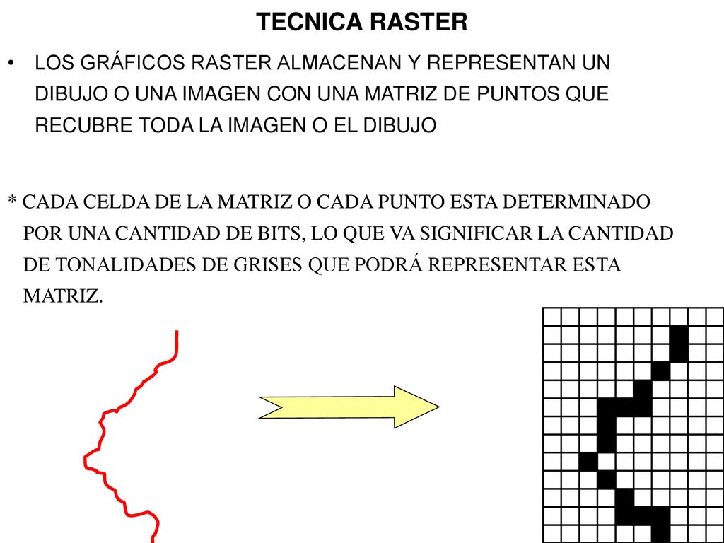 TECNICA RASTER LOS GRÁFICOS RASTER ALMACENAN Y REPRESENTAN UN DIBUJO O UNA IMAGEN CON UNA MATRIZ DE PUNTOS QUE RECUBRE TODA LA IMAGEN O EL DIBUJO.