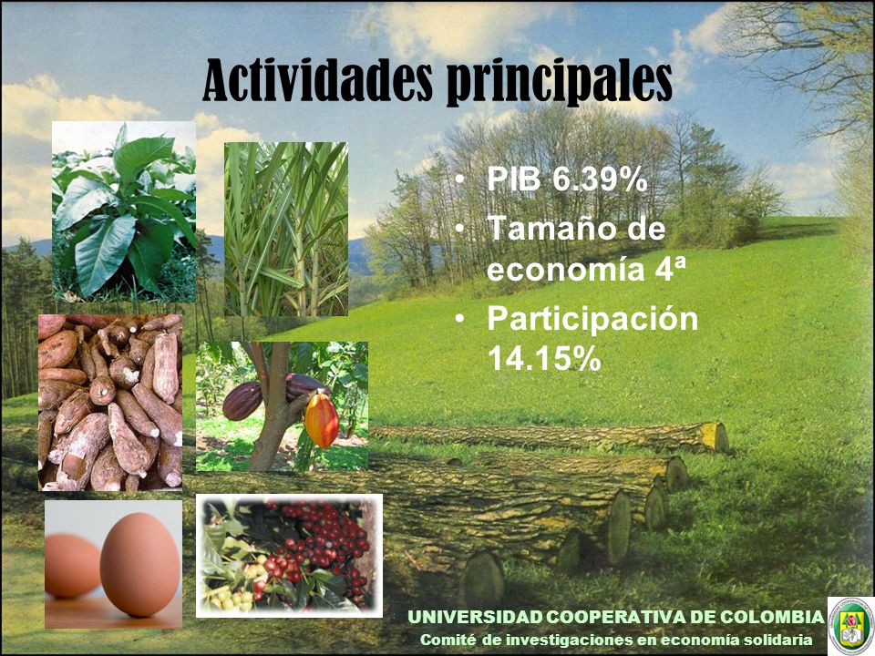 Actividades principales