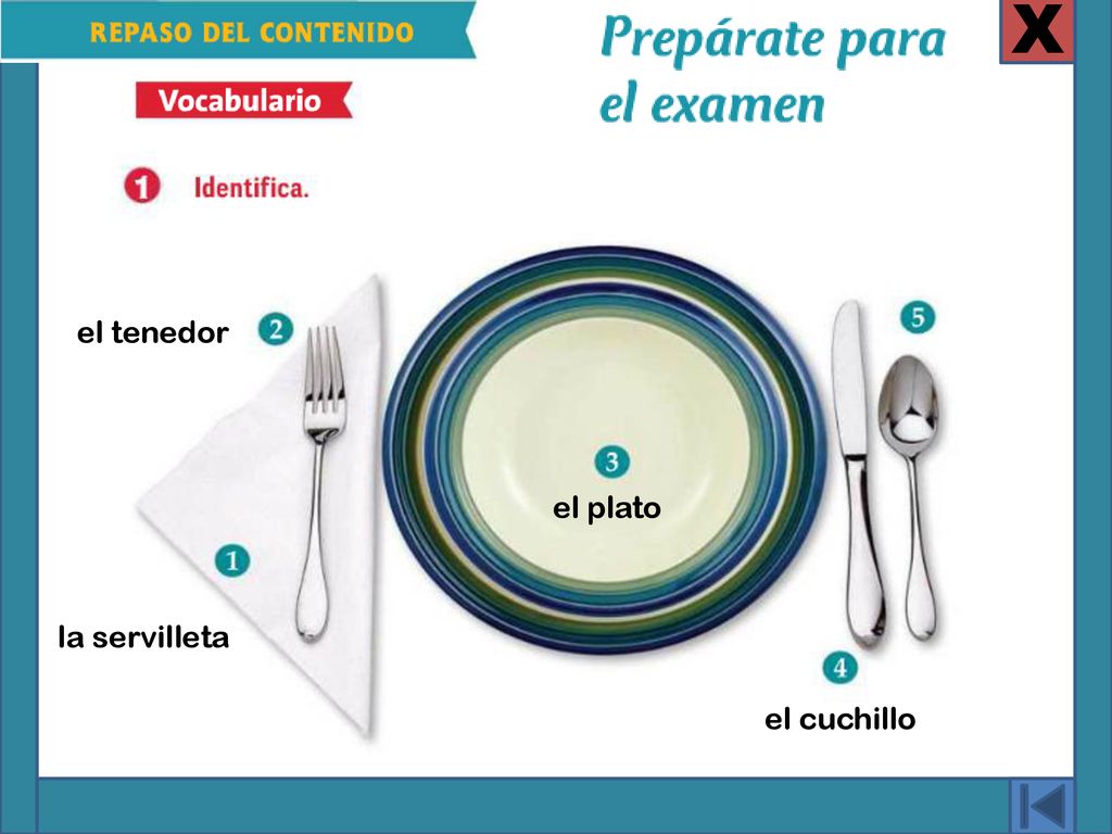 X el tenedor el plato la servilleta el cuchillo