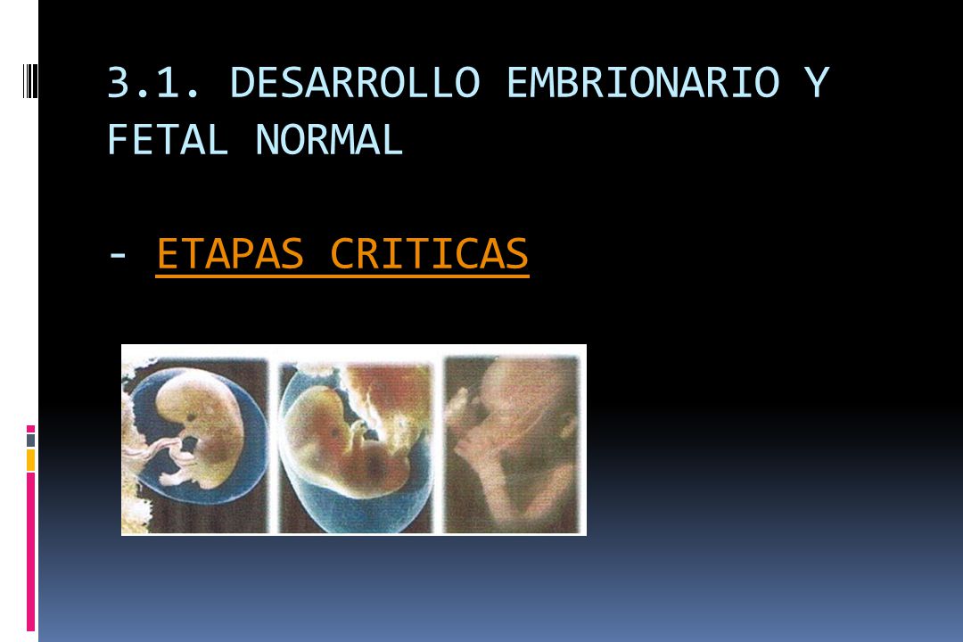 3.1. DESARROLLO EMBRIONARIO Y FETAL NORMAL - ETAPAS CRITICAS