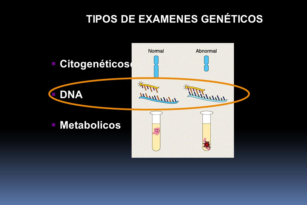 Citogenéticosc DNA Metabolicos TIPOS DE EXAMENES GENÉTICOS
