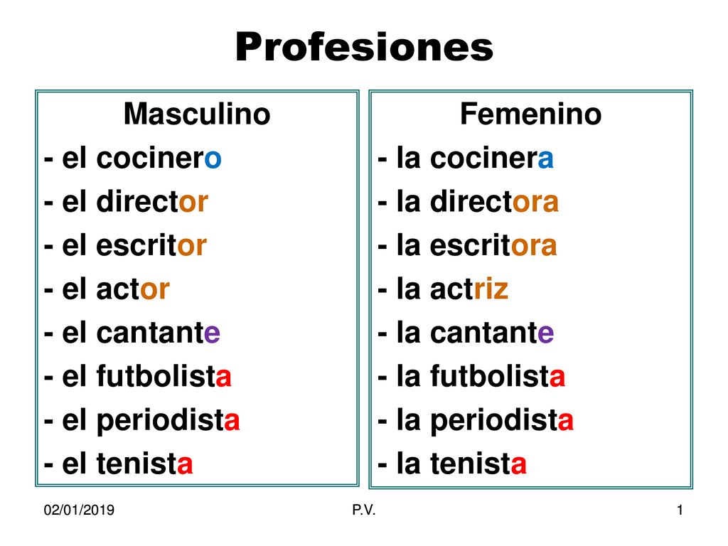 Profesiones Masculino - el cocinero - el director - el escritor