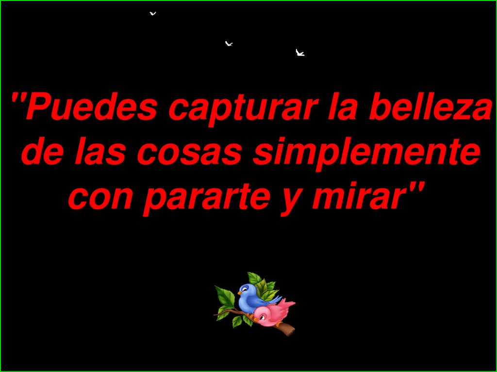 Puedes capturar la belleza de las cosas simplemente con pararte y mirar