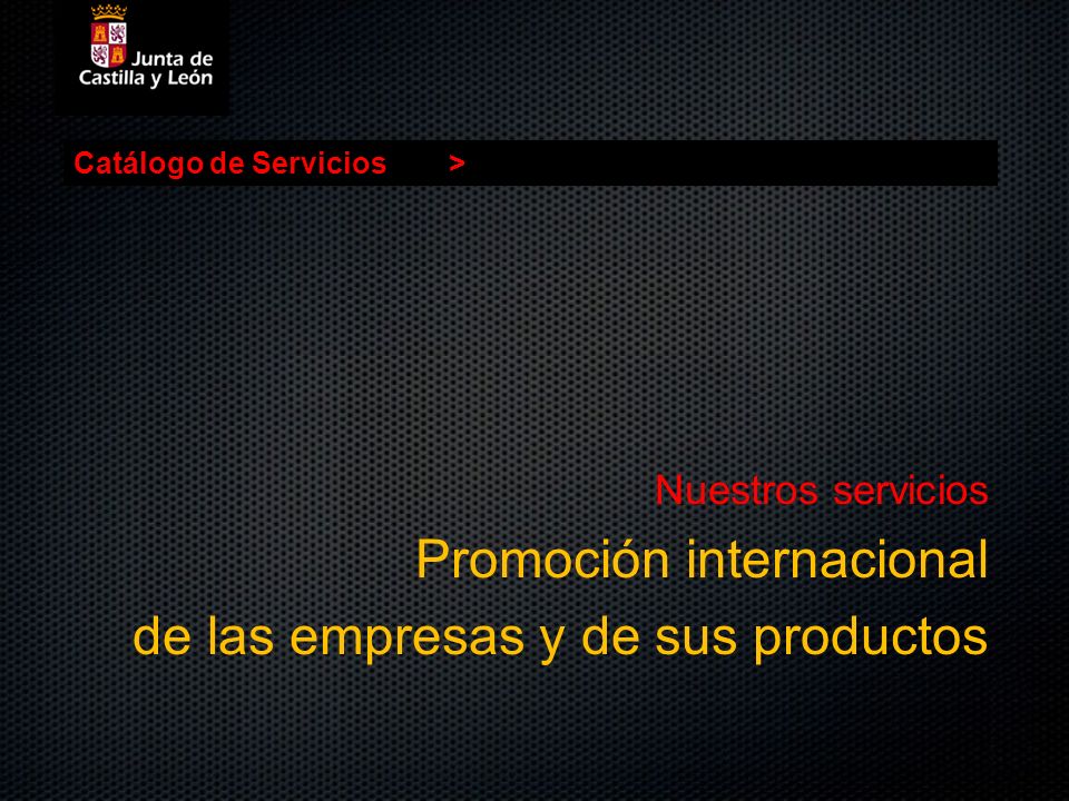 Promoción internacional de las empresas y de sus productos