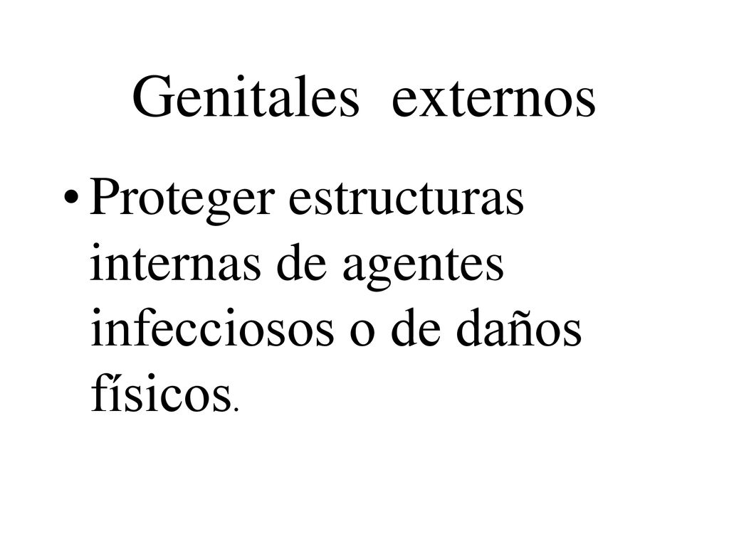 Genitales externos Proteger estructuras internas de agentes infecciosos o de daños físicos.