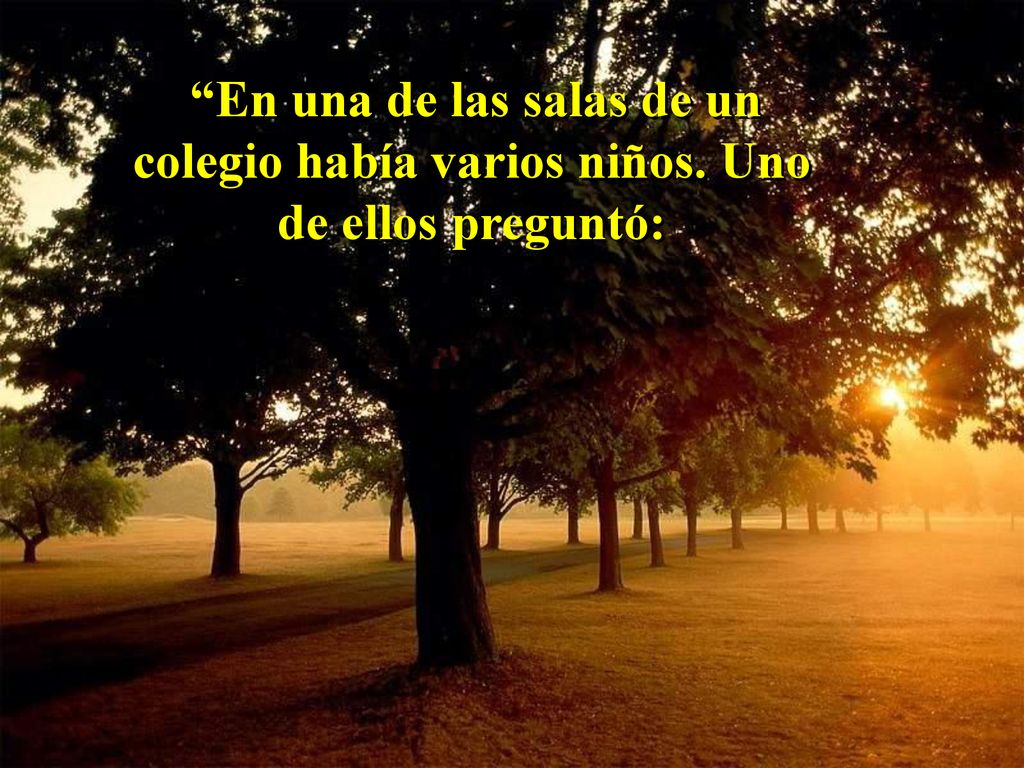 En una de las salas de un colegio había varios niños