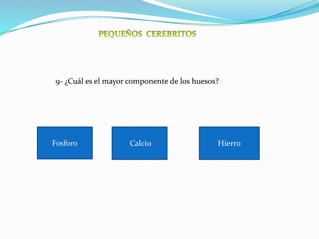 PEQUEÑOS CEREBRITOS 9- ¿Cuál es el mayor componente de los huesos Fosforo Calcio Hierro