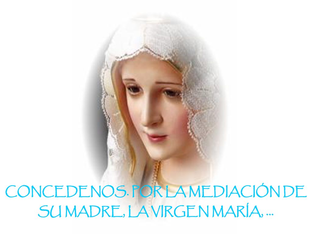 CONCEDENOS. POR LA MEDIACIÓN DE SU MADRE, LA VIRGEN MARÍA, ...