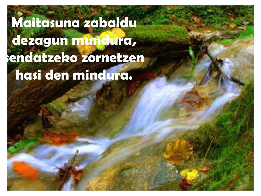 Maitasuna zabaldu dezagun mundura, sendatzeko zornetzen hasi den mindura.