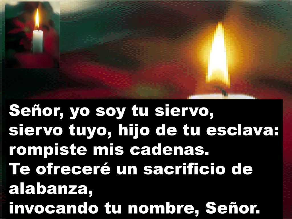 Señor, yo soy tu siervo, siervo tuyo, hijo de tu esclava: rompiste mis cadenas.
