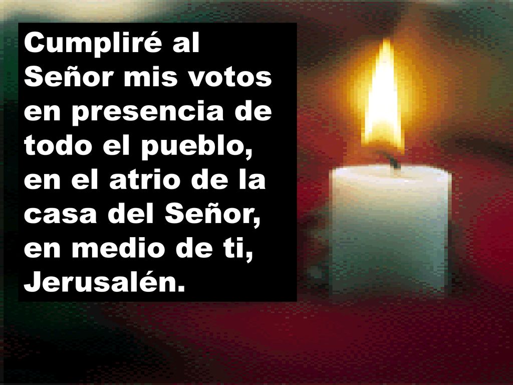Cumpliré al Señor mis votos en presencia de todo el pueblo, en el atrio de la casa del Señor, en medio de ti, Jerusalén.