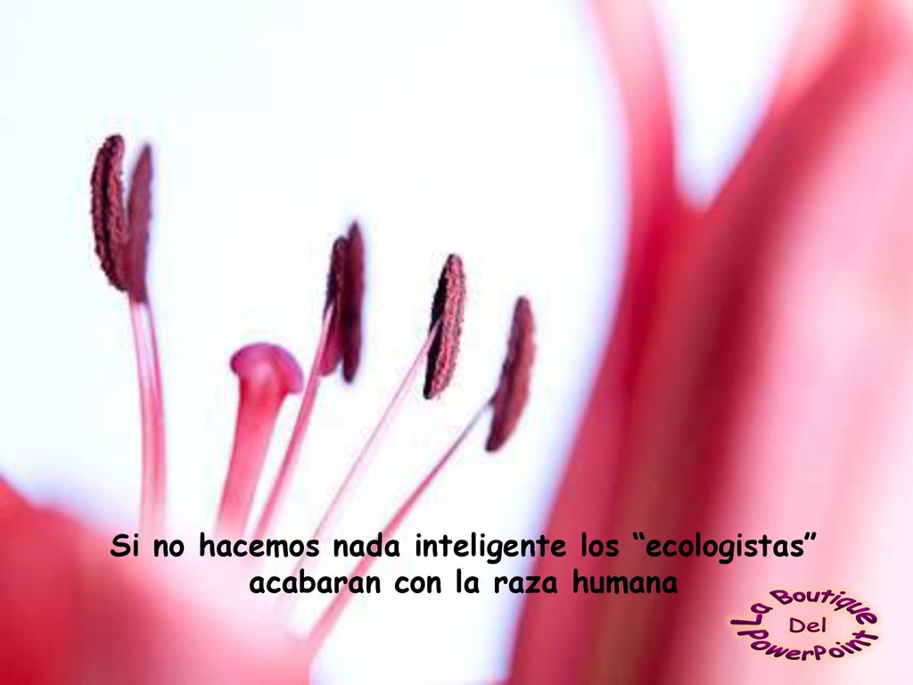 Si no hacemos nada inteligente los ecologistas acabaran con la raza humana