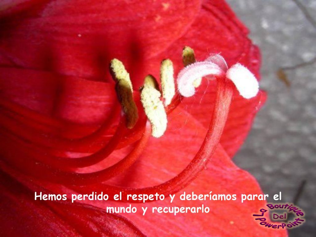 Hemos perdido el respeto y deberíamos parar el mundo y recuperarlo