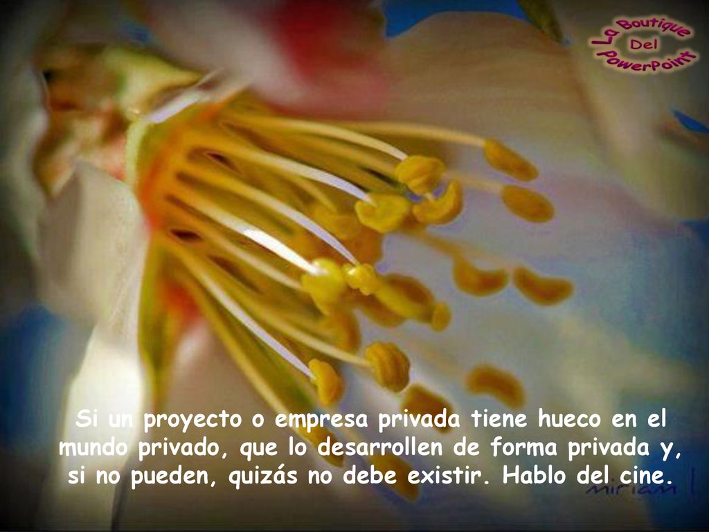Si un proyecto o empresa privada tiene hueco en el mundo privado, que lo desarrollen de forma privada y, si no pueden, quizás no debe existir.