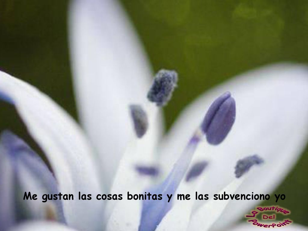 Me gustan las cosas bonitas y me las subvenciono yo