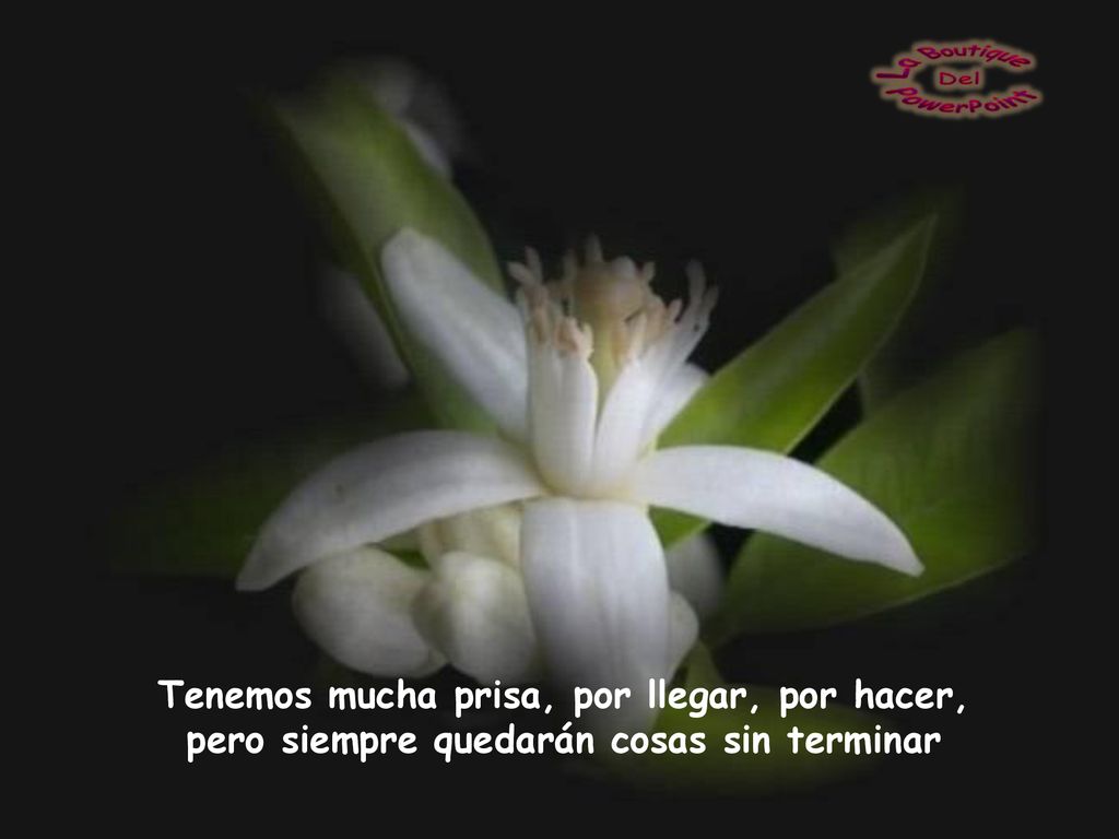 Tenemos mucha prisa, por llegar, por hacer, pero siempre quedarán cosas sin terminar