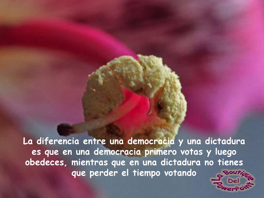 La diferencia entre una democracia y una dictadura es que en una democracia primero votas y luego obedeces, mientras que en una dictadura no tienes que perder el tiempo votando