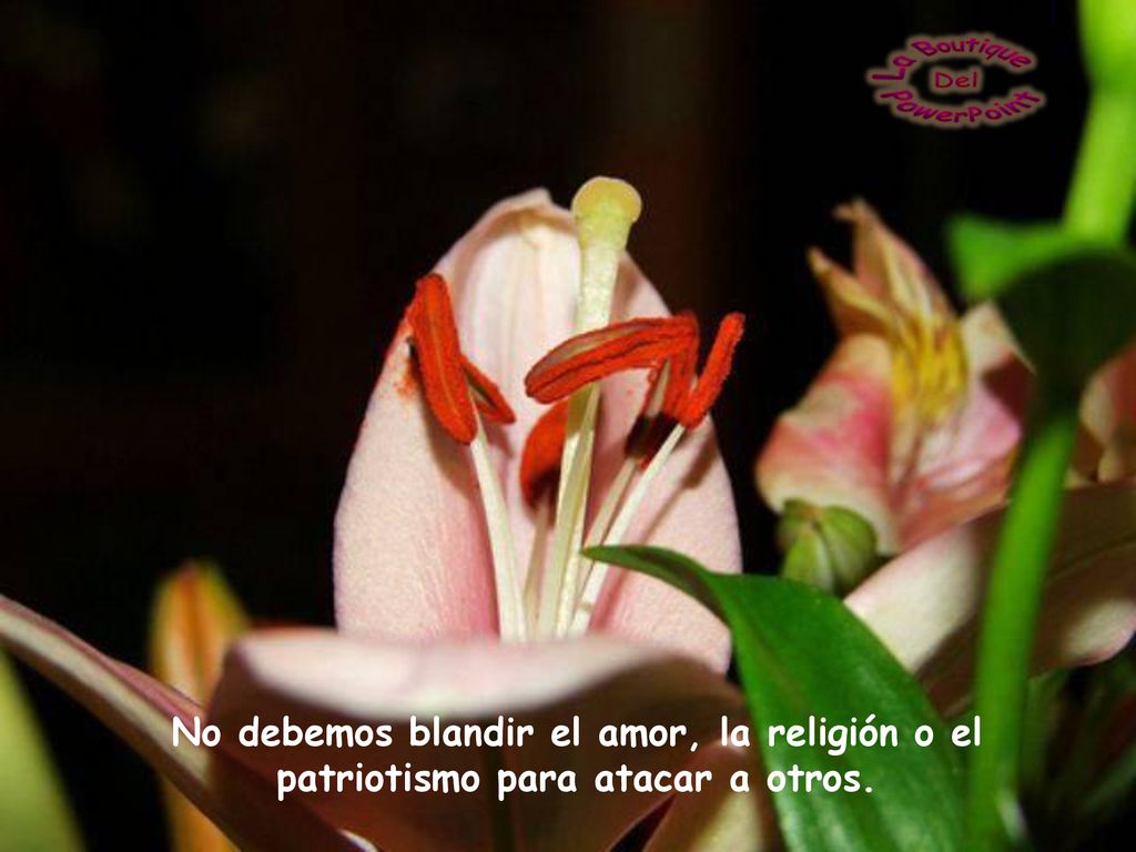 No debemos blandir el amor, la religión o el patriotismo para atacar a otros.